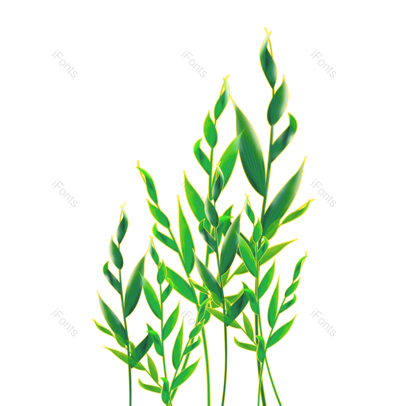叶子图片,夏天元素,绿叶PNG,春季素材免抠素材